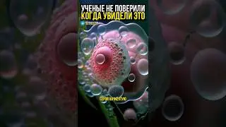 Обнаружили внеземной органо-минеральный состав 