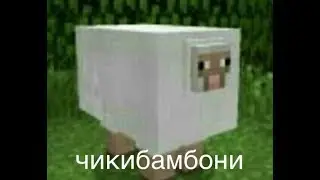 ЧИКИБАМБОНИ ЧИКИБАМБОНИТ НА ПРОТЯЖЕНИИ 10 ЧАСОВ И 11 МИНУТ