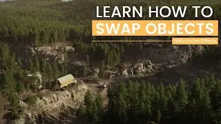 How to swap objects inside a spline using Forest Effects