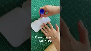 Тауматроп #образование #психология #занятиясдетьми