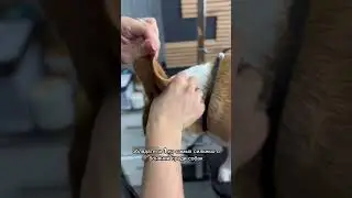 А какие интересные факты знаете вы? 