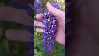 9 июня 2023 г.