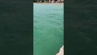 Avcı önümüzde balığı yedi
