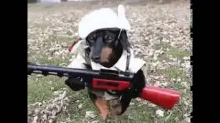 Весёлый охотник