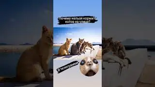 Почему нельзя кормить котов на улице? телеграмм