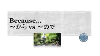 [JLPT N4] から vs ので　(kara vs node)  Stating a reason in Japanese