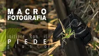 Iniziare bene con la macrofotografia (e la fotografia a distanza ravvicinata)