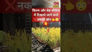 See How The Shooting Of The Fake Farm Shown In Films And Web Series Is Done. #filmmaking #shortvideo