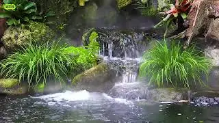 Nhạc thư giãn buổi sáng ,Vườn nhà cam 6