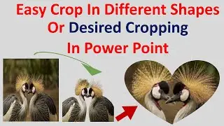 Easy Crop In Different Shapes Or Desired Cropping In Power Point