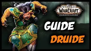 WOW SHADOWLANDS : GUIDE DRUIDE FR🐻
