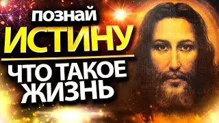 Жизнь на Земле - ТРЕНАЖЕРНЫЙ ЗАЛ | Транс просветления | Истина