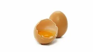 Egg