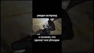 #шутка #заяц #смех #плачь #астероид #мем #мемы