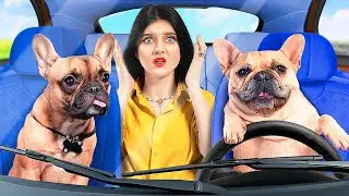 Anjing Nakal vs Anjing Baik / Pemilik Hewan Peliharaan Yang Baik vs Yang Nakal