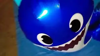 Baby shark niver de 1 aninho