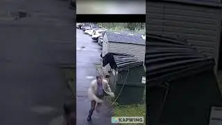 Bear scares principal by jumping out of bin!