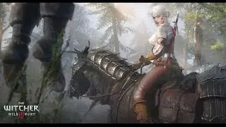 I spent 12 hours making this 1 minute Witcher 3 next gen video