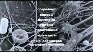 Биорезонансная терапия - что это?