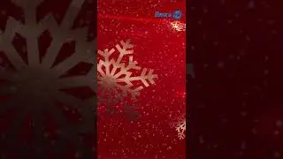 Merry Christmas & Happy New Year # Shorts