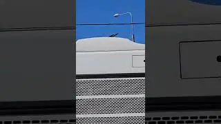 погремушка)