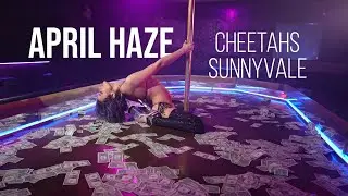 April Haze // Pole Reel @ Cheetahs Gentleman's Cub