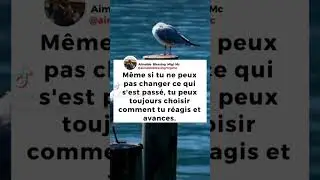 Fais confiance au processus de la vie #shortvideo #motivation #gratitudemindset #motivational #grate