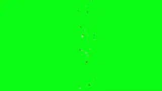Debris Green Screen