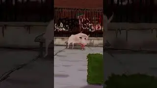 Time to eat something