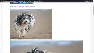 ✨ Build Stunning Responsive Lightboxes in WordPress – No Coding Required! (Step-by-Step Guide) 🖥️🚀