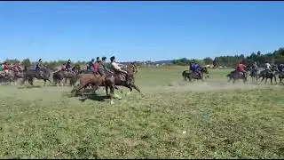 бузкаши дар район раменский