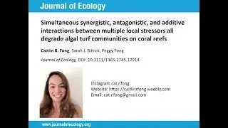 Caitlin Fong - Multiple Local Stressors of Algal Turf Communities
