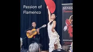 Passion of Flamenco