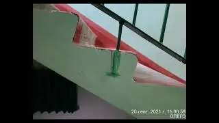 Чудо-ремонт волоколамских подъездов
