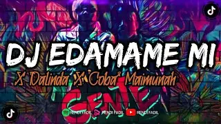 DJ EDAMAME X MI GENTE VIRAAL TIKTOK