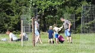 Brdské stromsázení 2023