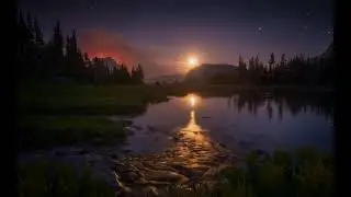 Красивый шум леса, пение птиц, журчание ручья для сна и отдыха !!!!!!!