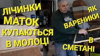 Гарні матки = здорові сім'ї!!! 