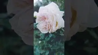 МОЯ ЛЮБОВЬ🤗