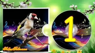 Голоса птиц - Пение птиц - как поёт щегол CD