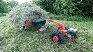 Косим,сушим,возим сено.
