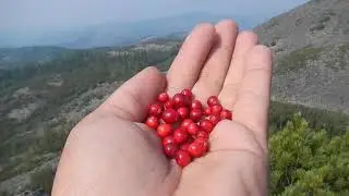река Миня.  Часть 3. Участок - Левоминьский