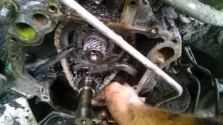 Eldorado timing chain