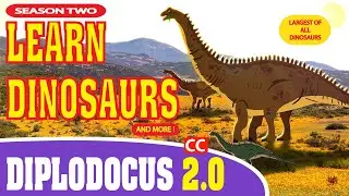 Dinosaurs Diplodocus Largest Dinosaur