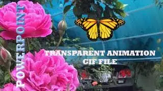 Create transparent animations in video or gif files