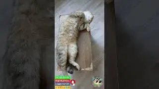 И что делать???