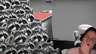 Gehsture Reacts to HOW TO RAISE A RACOON
