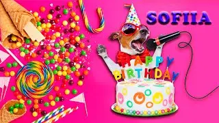 Happy Birthday Sofiia. З днем народження Соня. 10років