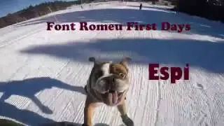 espi lgs team snowboard