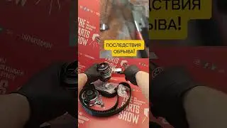 Оборвало ремень ГРМ на моторах VAG 1.6-2.0 TDI? Этого можно избежать! #thepartsshow #avtovoprosby